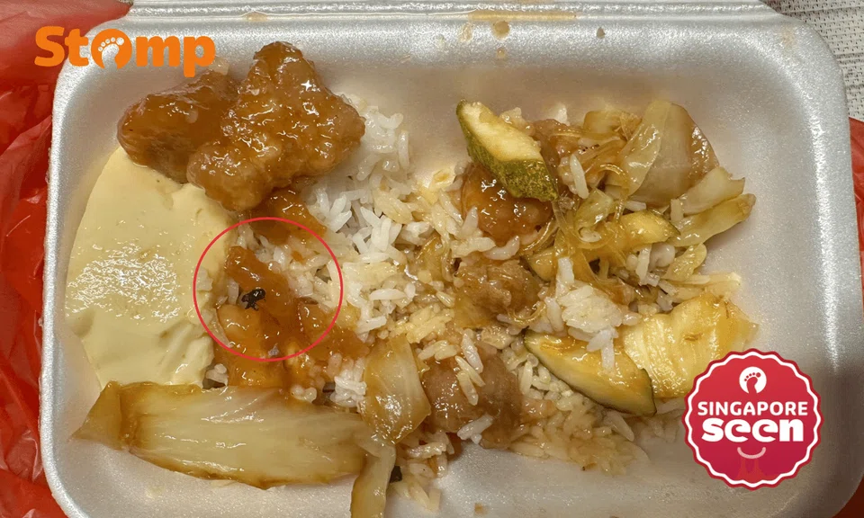 Dead fly in mixed rice dish leaves sour taste in Stomper’s mouth