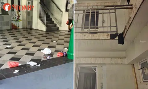 Choa Chu Kang resident bogged down by bird droppings, rubbish and neighbour's dirty water