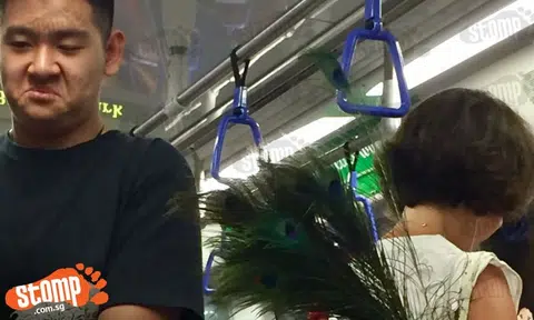'Excuse me, miss? Your peacock feathers are tickling me': Commuter trying to avoid getting tickled in train