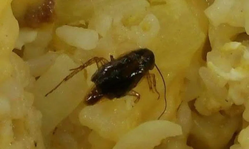 Girl vomits after seeing 2cm cockroach in baked rice from Elias Mall stall