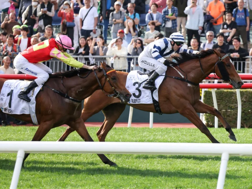 Rubylot (Brenton Avdulla) finishing best to deny My Wish (Luke Ferraris) in the Hong Kong Classic Cup (1,800m) at Sha Tin on March 2. The duo clash again in the finale, the BMW Hong Kong Derby (2,000m) on March 23.
