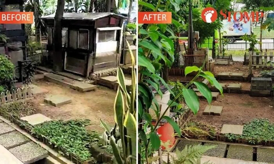 Town council 'engages' Yishun resident breeding chickens to remove structure in front of block