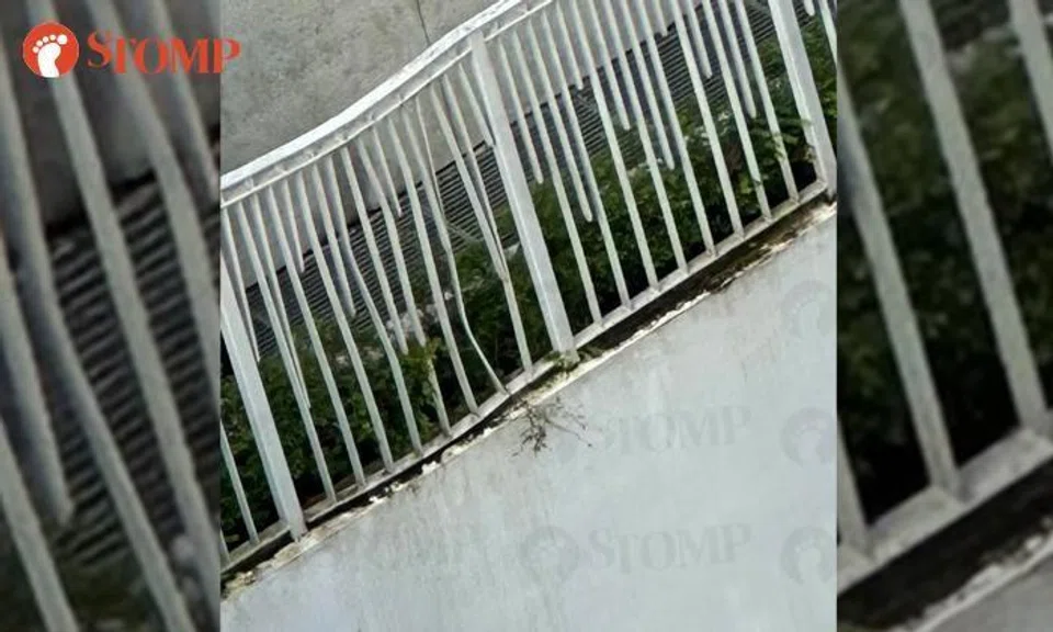 Man allegedly falls to death at Northshore Drive: Passer-by 'traumatised', fence damaged