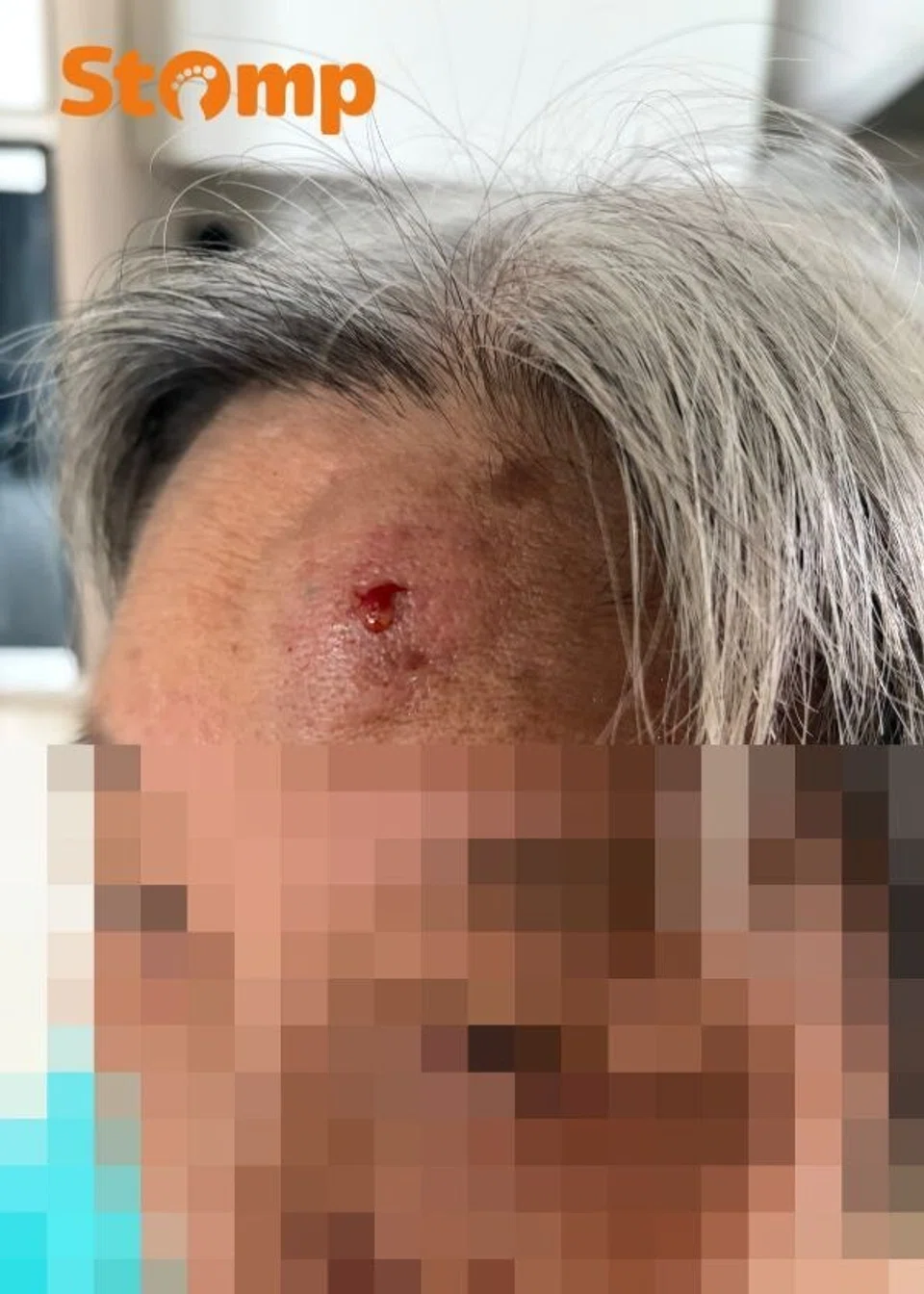 Son says Hougang stall operators blamed elderly mum after she fell, stallholder denies accusation