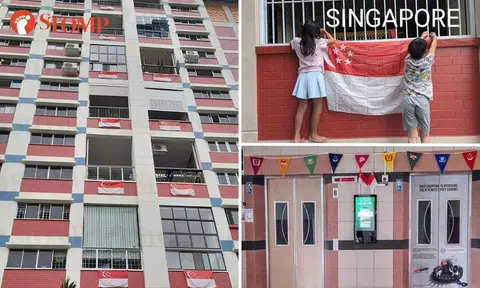Residents of Bishan block proudly fly Singapore flag for National Day -- nearly double last year's numbers