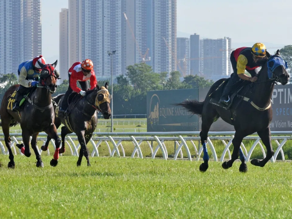 The Richard Lim-trained Elite Captain (Uzair Sharudin) trouncing his rivals by 3¼ lengths in the first barrier trial run on the turf course proper at Sungai Besi on May 6. Stop The Water (Laercio de Souza), donning the red earmuffs, finishes second ahead of Golden Sixty Three (Nuqman Rozi).
