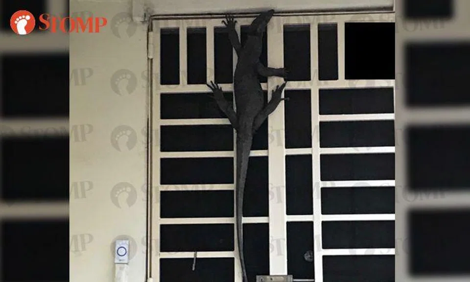 Yuan Ching Road resident shocked by unusual visitor who pressed her doorbell