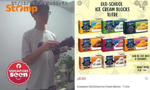 Teen boy goes door to door in Tampines, tells sob story and tricks family into paying $30 for $8.50 ice cream 