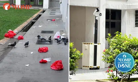 Resident says Woodlands block has been free of pests and litter after Stomp report