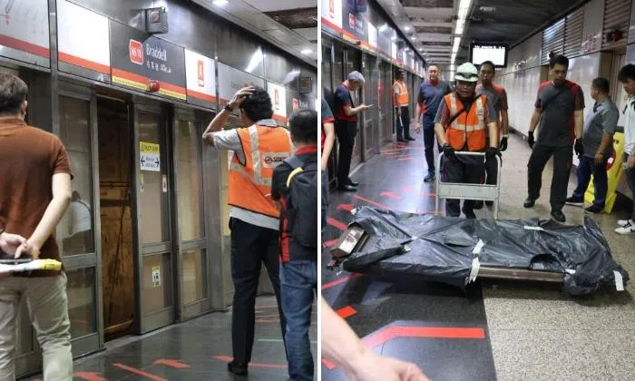 Platform door falls on tracks at Braddell station, train services ...