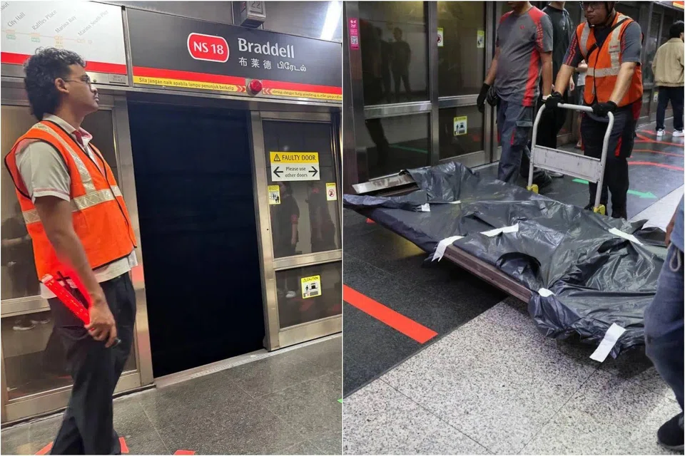 Train services resumed at around 12.30pm, more than an hour after the screen door fell at 11.15am. 
