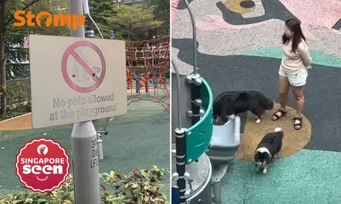 Woman repeatedly seen bringing unleashed dogs to Punggol playground despite 'no pets' sign