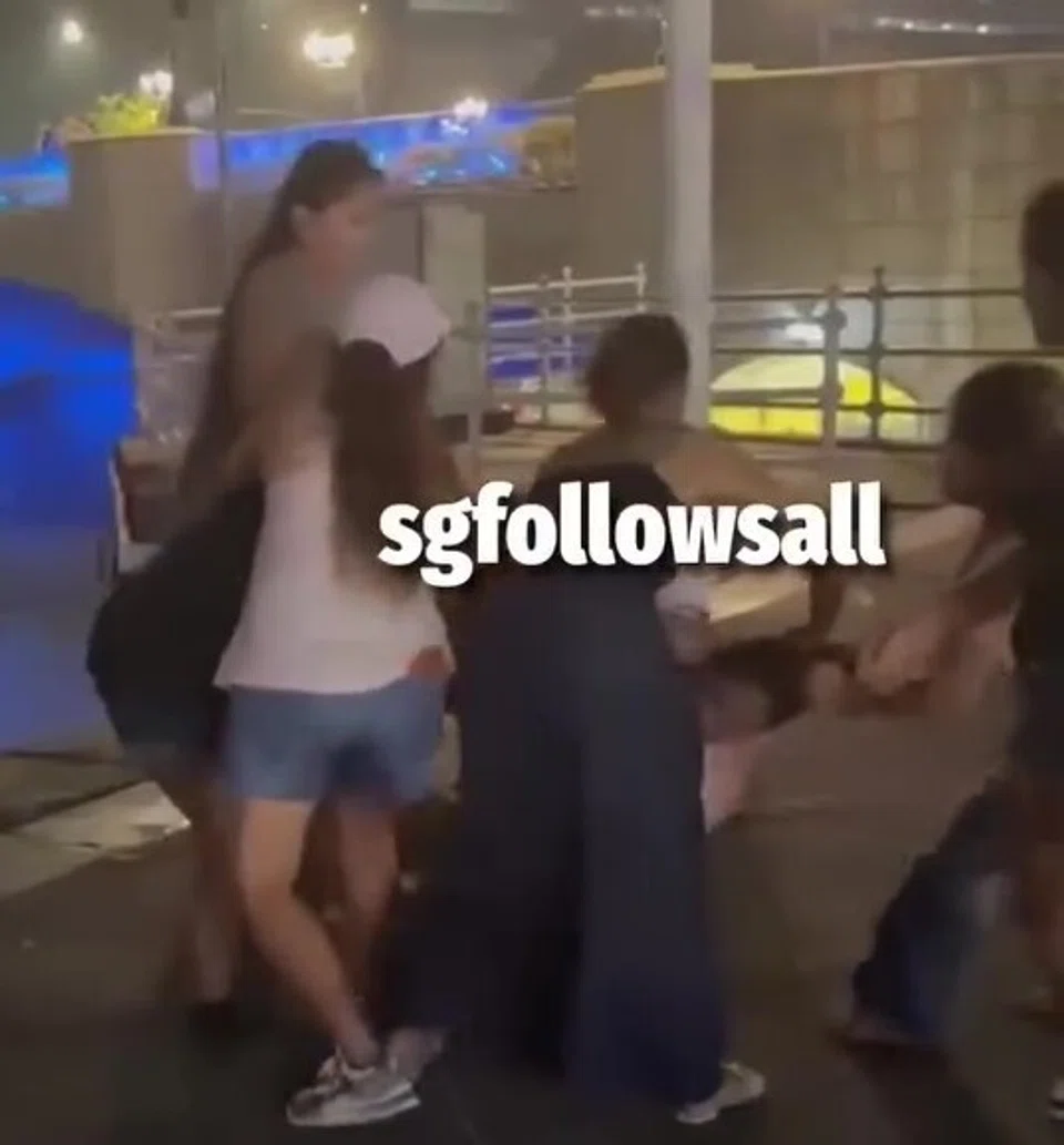 hair-pulling brawl erupts outside clarke quay bar