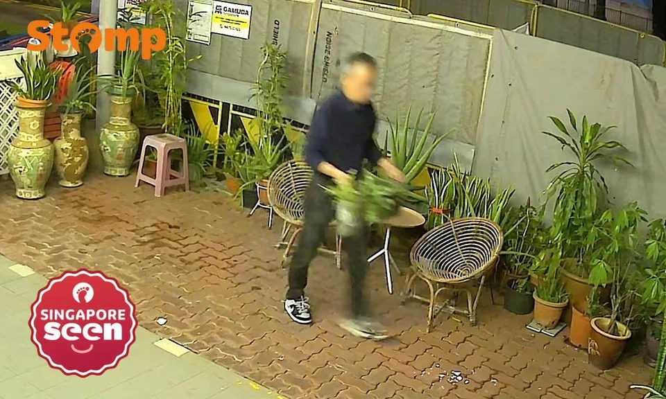 man steals plant from outside west coast shop