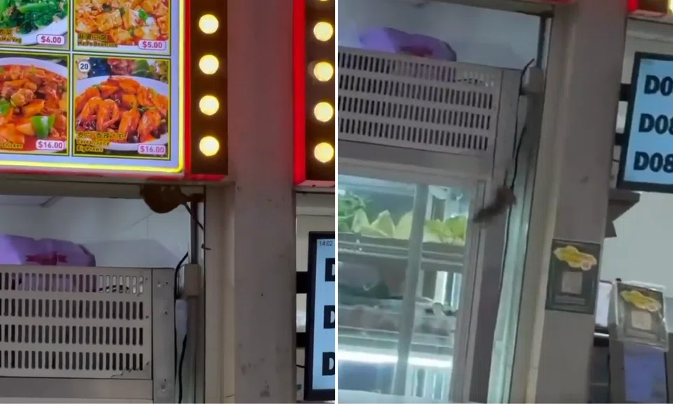 The rat was spotted at a canteen in Tamarind Hall. 