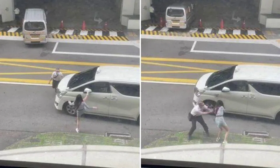 A one-minute video circulating on social media showed the man and the woman kicking and shouting at each other on the side of a road.