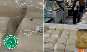 The fact that a tiny cockroach crawled across plastic and still went viral is a testament to Singapore’s attractive dullness.