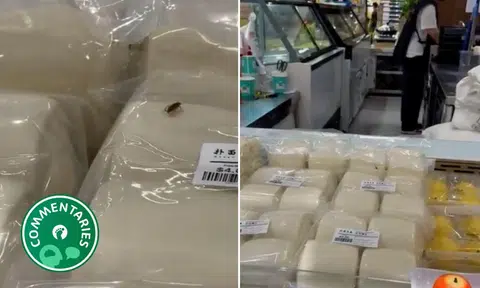 The fact that a tiny cockroach crawled across plastic and still went viral is a testament to Singapore’s attractive dullness.