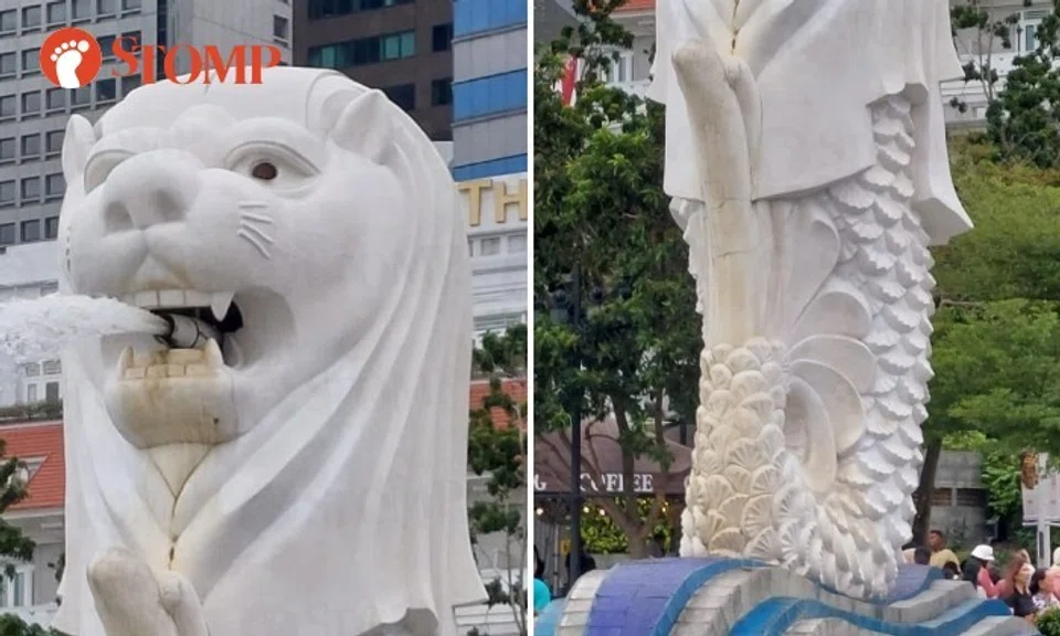 Sharing a 14-second video of the 8.6m icon in Merlion Park, Stomper Lee said: "The Merlion is very dirty and lots of tourists are taking photos of it."