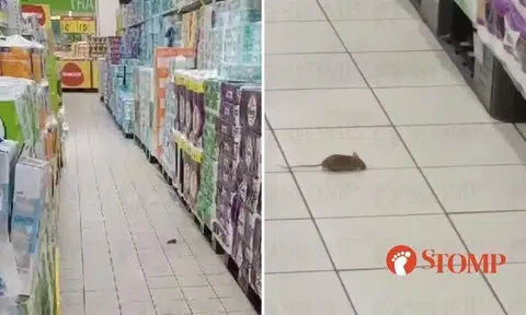 Stomper Peter shared a video of the rodent scurrying on the white-tiled floor in the toilet paper aisle at 8.23am.