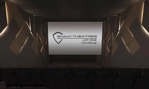 Technical glitch at Shaw Theatres Lot One