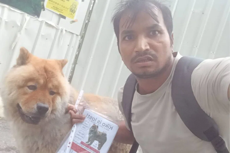 The man who found Kiko, who was seen inside a drain near 8 Mar Thoma Road. PHOTO: SCREENGRAB FROM KIKO IS FOUND/TELEGRAM
