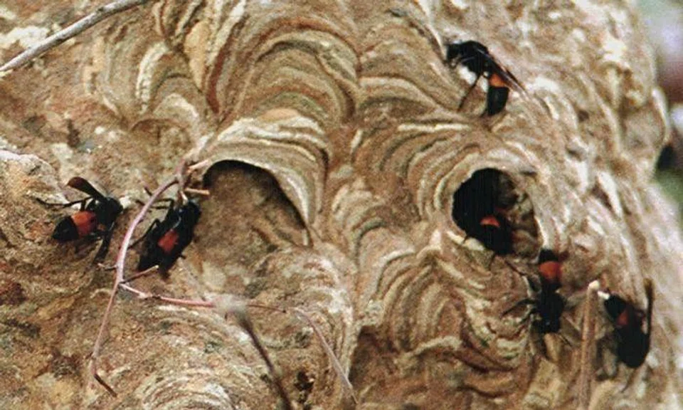 Photo illustration: Shin Min Daily News