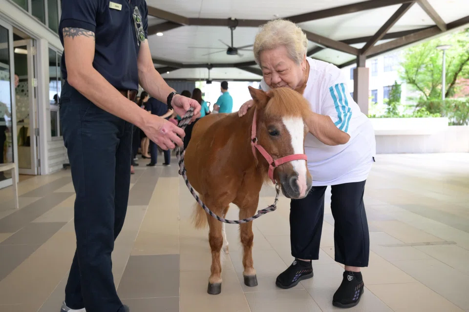 Madam Tan Ah Chiu, 89, is among more than 100 seniors who took part in the first run of the equine-assisted programme.