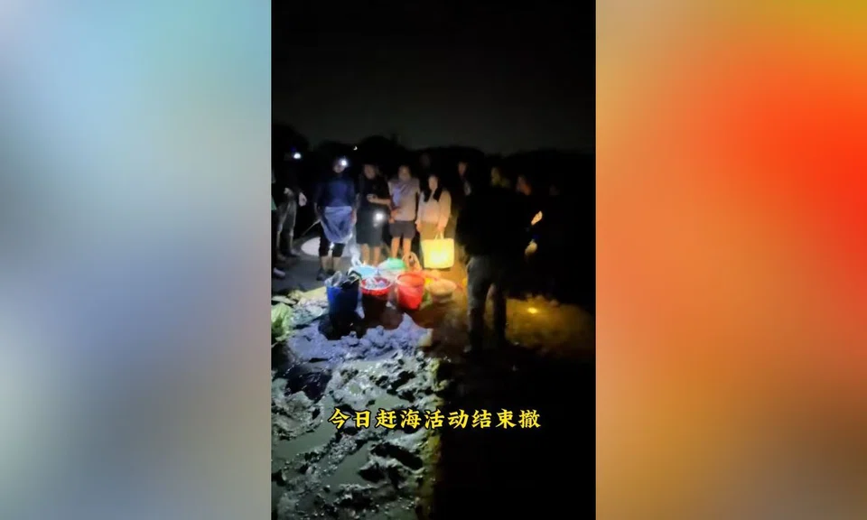 gan hai intertidal foraging seafood viral trend