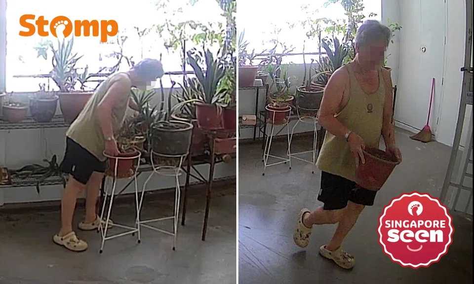 Man allegedly takes flower pot outside Sengkang HDB unit