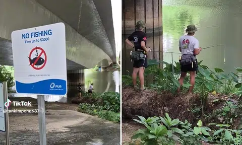 TikToker catches 2 men fishing illegally at Sungei Punggol, netizens defend them: 'Don't kaypoh'