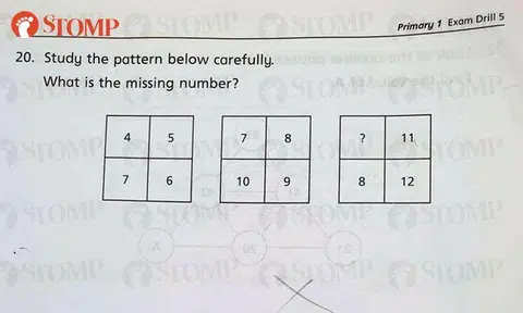 Can you solve this Primary 1 Math question?