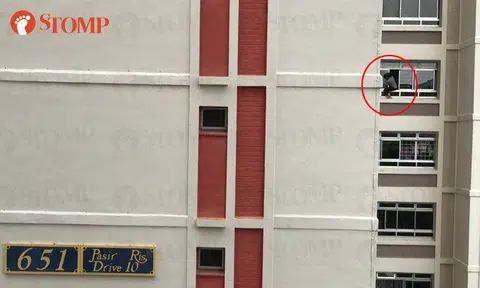 Pasir Ris resident risks life and limb to clean window of 6th-storey unit