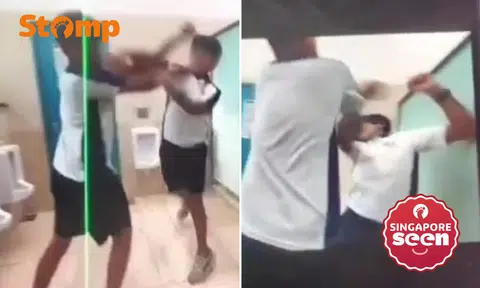 2 boys whack each other in St Gabriel's school toilet as others watch