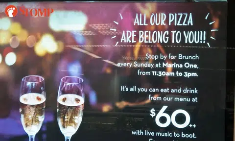 This is why hiring professionals for publicity materials is important