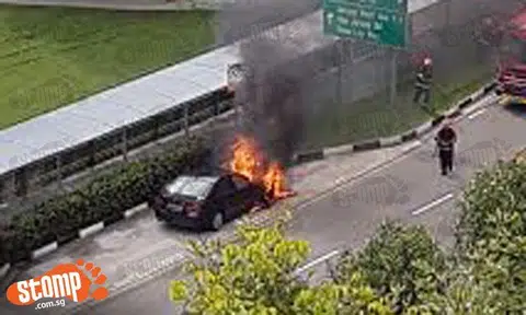 BMW goes up in flames at Pioneer Road North