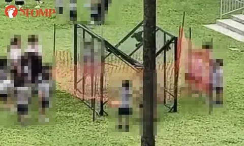 'It desensitises them': Stomper questions why kids were exposed to trapped birds in Punggol, preschool responds