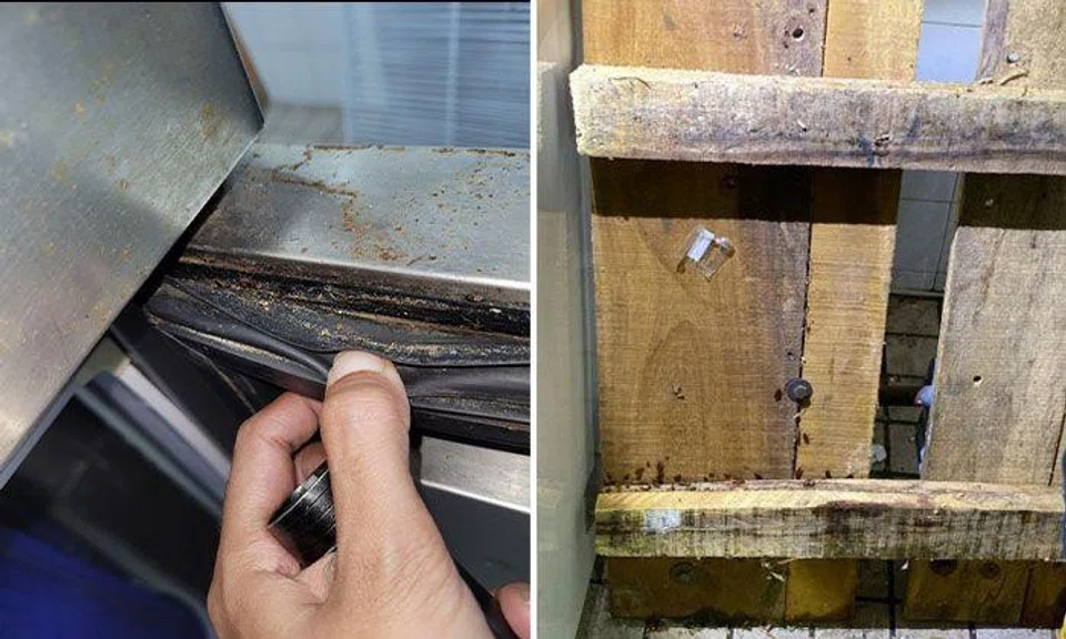 Food processing company fined $10,000 for hygiene lapses including cockroach infestation