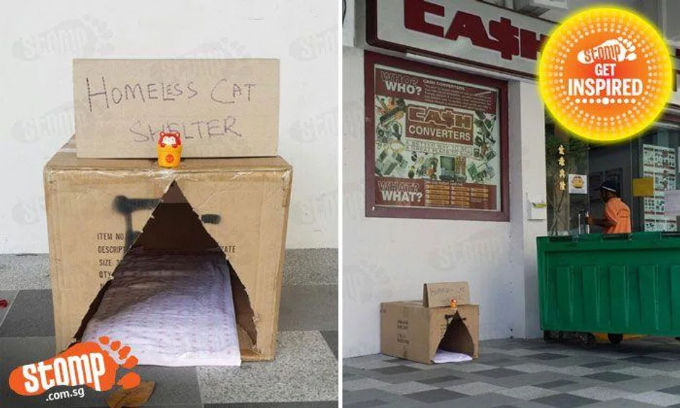 Kudos to Bedok North resident for setting up 'homeless cat shelter'