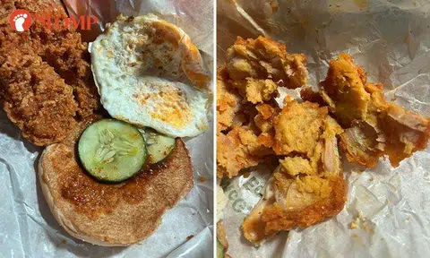 McDonald's responds after customer says his nasi lemak burger came with no onions and 'no meat'