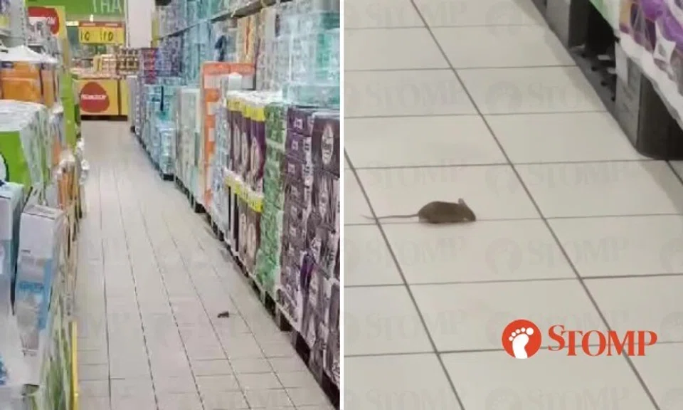 Stomper Peter shared a video of the rodent scurrying on the white-tiled floor in the toilet paper aisle at 8.23am.