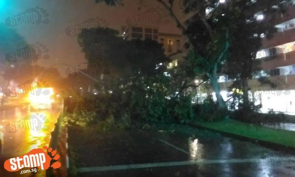 Tree topples at Yishun Ring Rd, damaging lamp post and causing blackout 