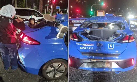 He had apparently smashed through the glass of the rear windshield and was stuck in the frame.