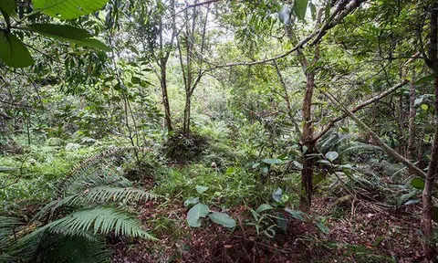 Can you spot all 12 camouflaged soldiers in this photo?