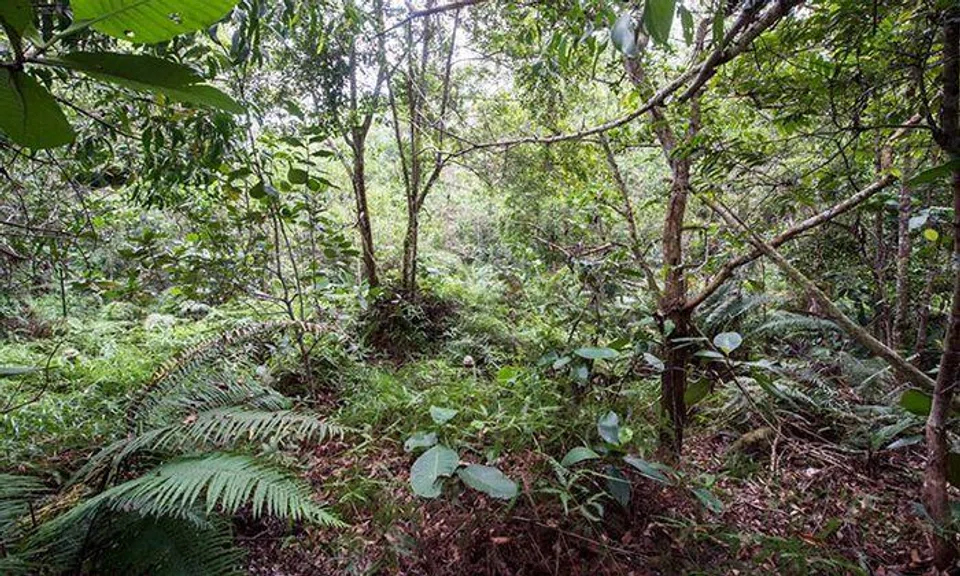 Can you spot all 12 camouflaged soldiers in this photo?