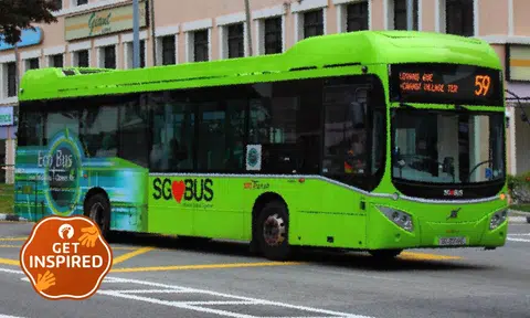 Stomper praises 'exceptionally kind' SBS Transit bus captain who helped commuters with payment issues