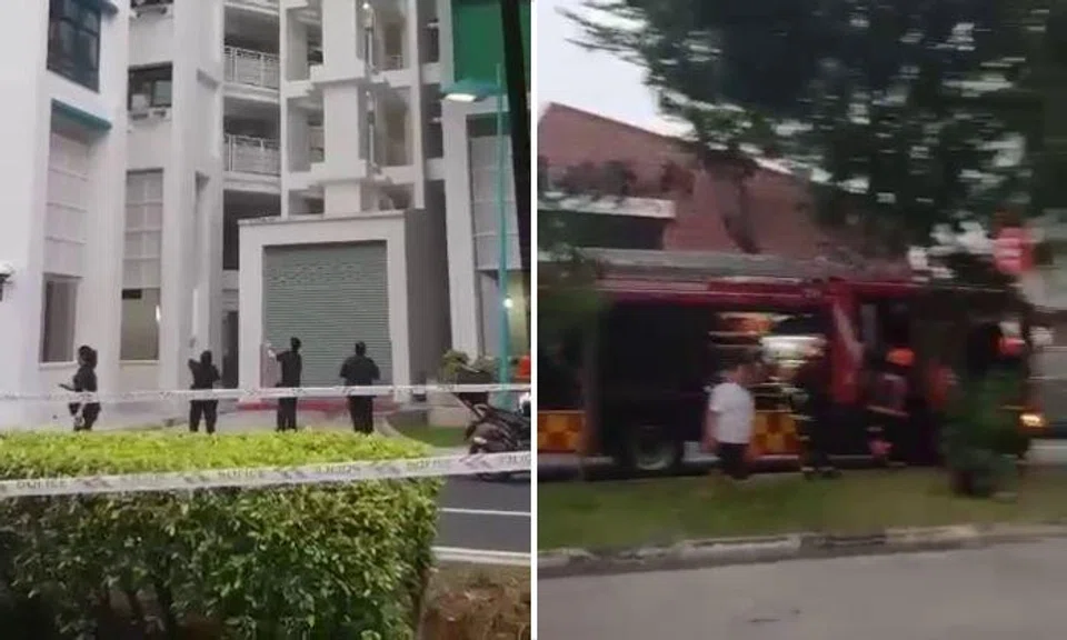 The officers on the ground floor engaged the woman to try to dissuade her from jumping off the ledge, using both English and her mother tongue. 