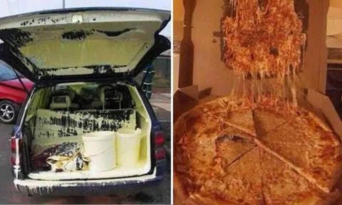 Photos from Reddit/ Imgur/ We Know Memes/ Slightly Warped/ Twitter/ LOLWhat/ OddStuff/ Hefty/ Lifebuzz/ 