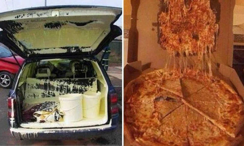 Photos from Reddit/ Imgur/ We Know Memes/ Slightly Warped/ Twitter/ LOLWhat/ OddStuff/ Hefty/ Lifebuzz/ 