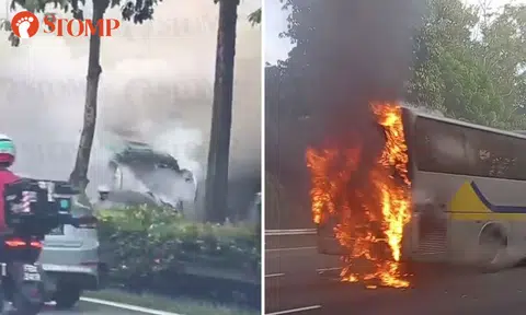Bus goes up in flames on BKE, driver and 11 passengers evacuate